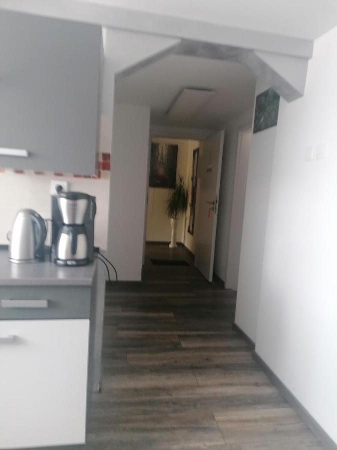 Ferienwohnung Andreea سارلويس المظهر الخارجي الصورة